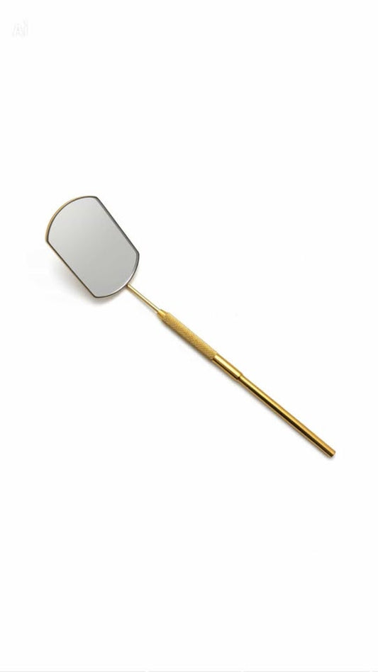 Lash Mirror